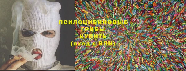 СК Аркадак